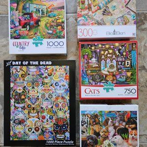 BOX of PUZZLES AND MORE PUZZLES !!!  5 in a Box.